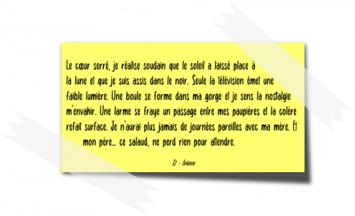 Souvenirs Introuvables L'intégrale Laura Wilhelm