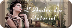Blog Favoris