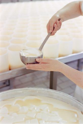 LES FROMAGES DE NOS REGIONS LE CAMAMBERT