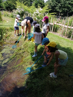 Sortie nature à la Flocellière 15 juin maternelle CP