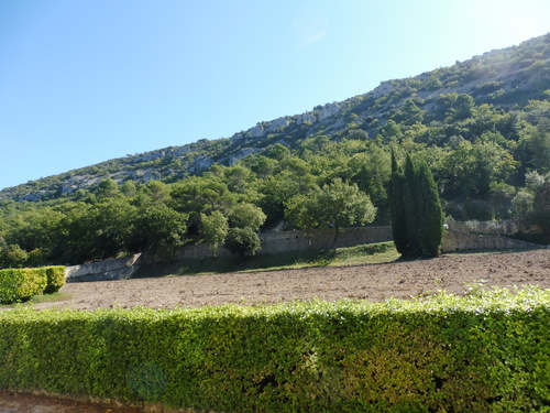 L'ABBAYE DE SENANQUE.