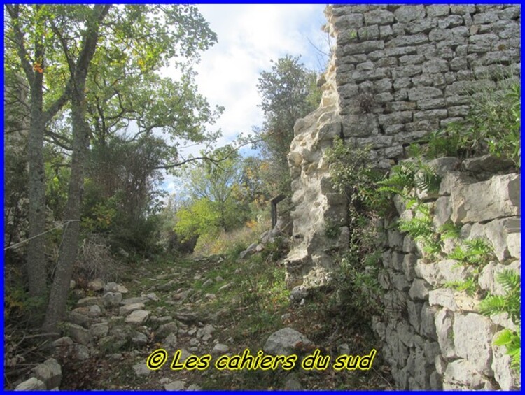 Le château du vieux Nans