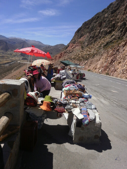 Voyage au Chili en 2011, Arica, Putre 1/2