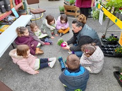 classe maternelle : visite à la jardinerie