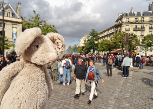 Quand Minizup'Mouff veut manifester