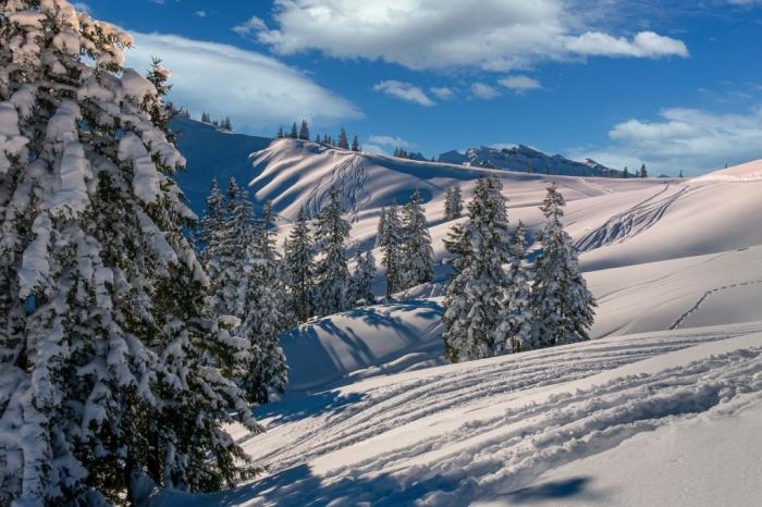 Les Meilleures Stations De Ski Écologiques - Par Marie Herblot -