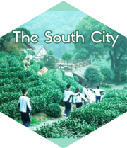 The South City