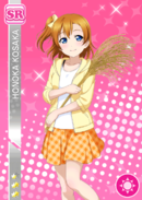 SR 1009 Honoka Event