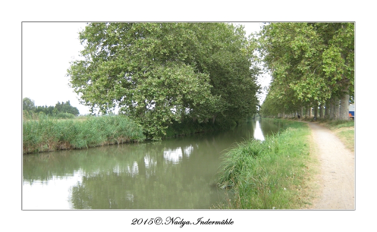 Canal de la Robine de Narbonne