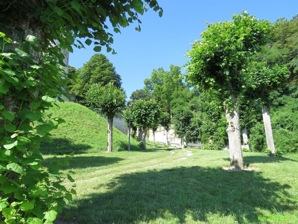 Saint Aignan sur Cher