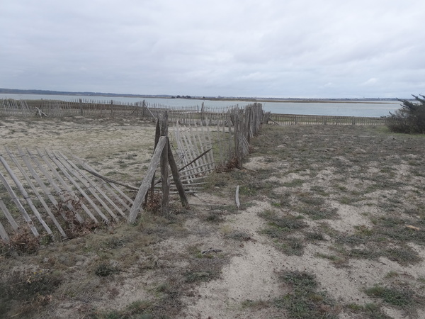 Le cimetière pour enfants de pen Bron à la Turballe (2)