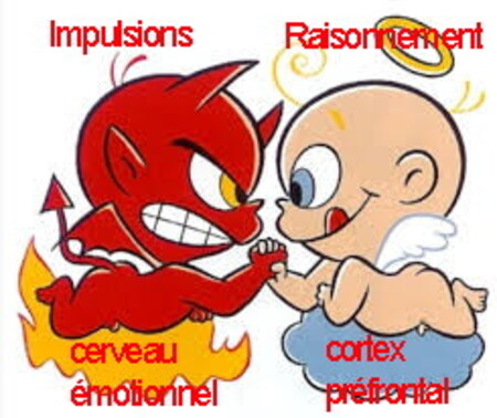 Désir et envie contre logique et raison : le contrôle de soi.