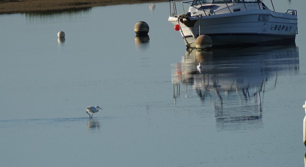 Moment magique au bord du Bassin d'Arcachon...