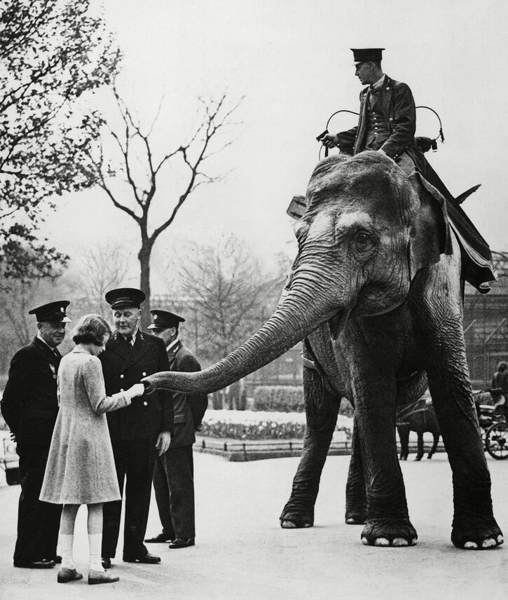 La reine Elizabeth interagit avec un éléphant