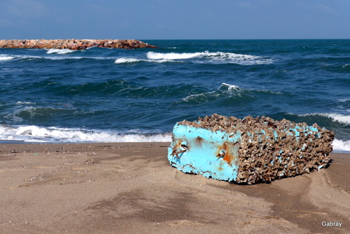 Le Barcarès : plage en mars !