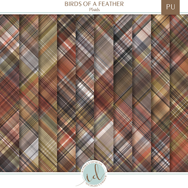 Birds Of A Feather -  Release October 7th 2019 ID-Birds-Of-AFeather-prev4