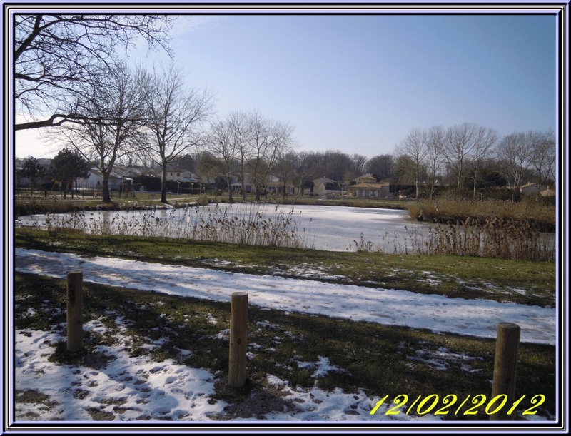Dimanche 12 février 2012 ,petite balade à l'étang de St Georges de Didonne (17)