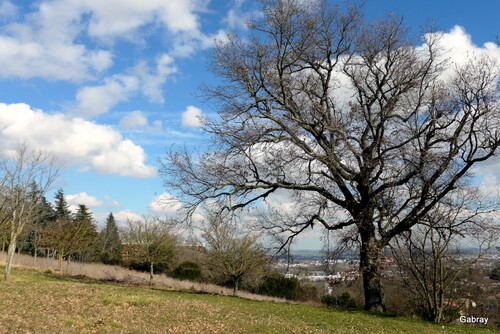 Paysages du Toulousain ... n1