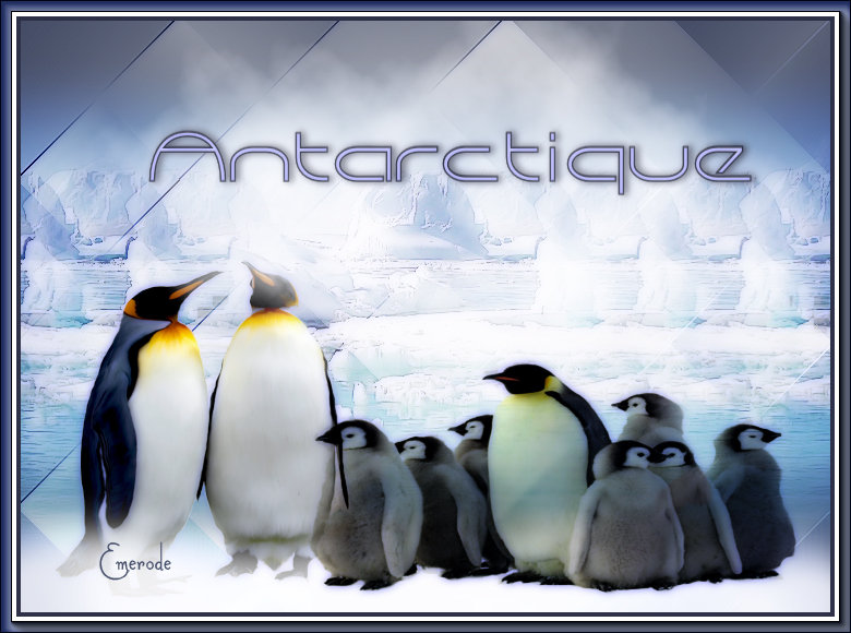 Antarctique 191210035651413548