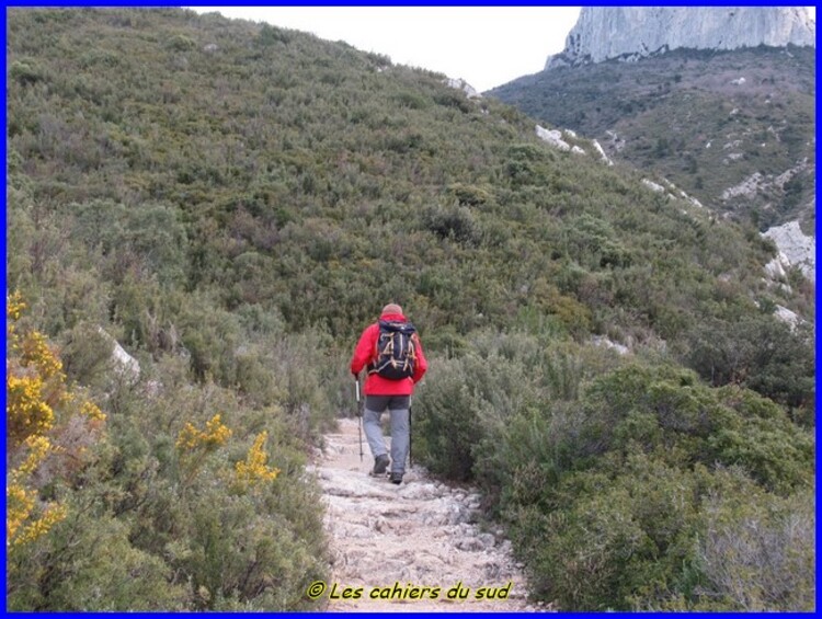 Sainte Baume, le col de Bertagne