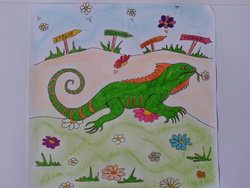 Coloriages et dessins: l'iguane des Animots Rigolos- Sons Voyelles