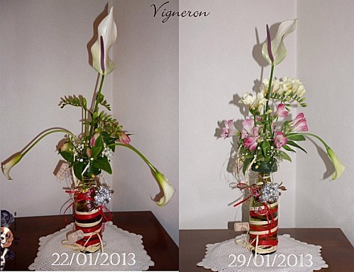 2013 01 22 vigneron 04