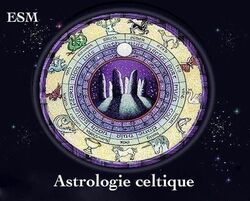 L’ astrologie celtique lunaire et le symbolisme des animaux