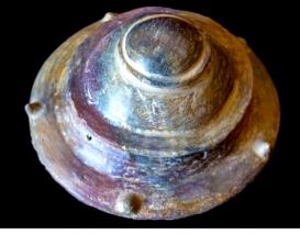 Artefacts du Mexique.