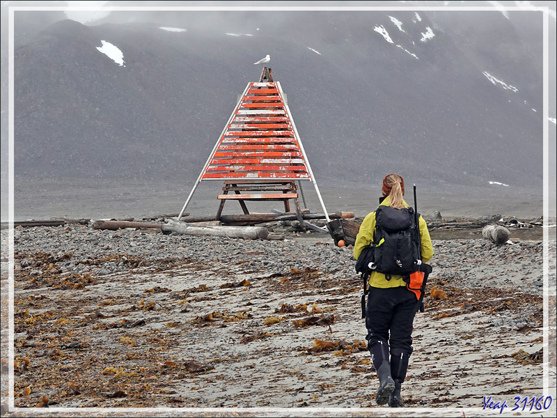 08/07/2014 : Débarquement à l'ancienne station baleinière de Smeerenburg - Ile Amsterdamøya - Spitzberg - Svalbard - Norvège