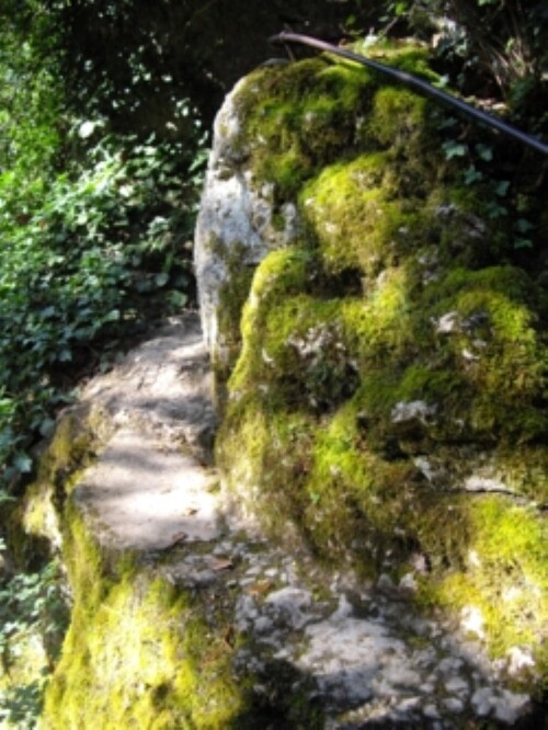 La source de la Marne