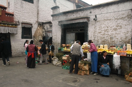 CHINE - TIBET 2007 seconde partie: régions de Lhasa et de Chengdu