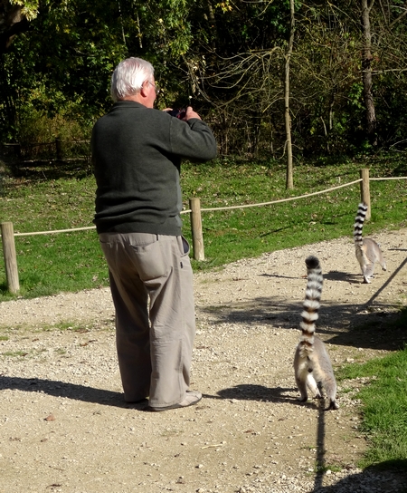 Le parc de l'Auxois, un bien agréable but de promenade...