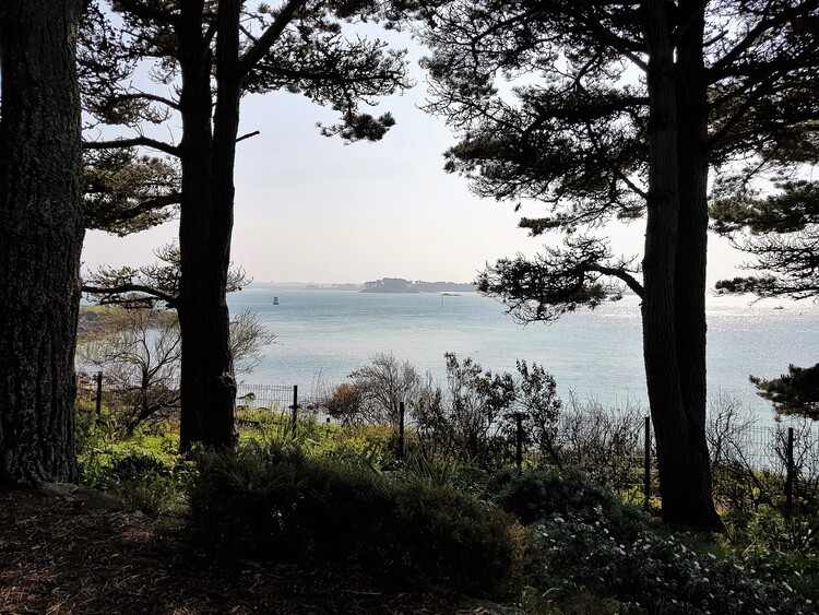 Une semaine à l'ile de Batz chez Zaza avec ma féline - Le jardin colonial - La cacteraie