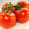18 tomatoes