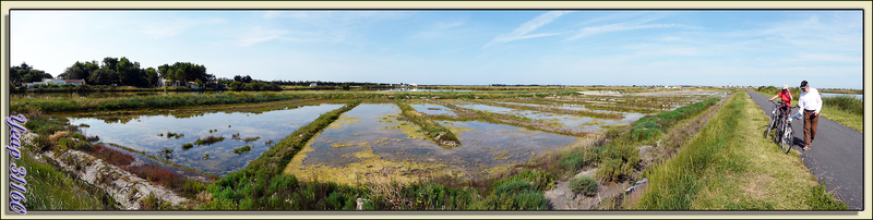 Panorama au Martray - Ile de Ré - 17