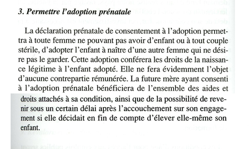 L'avortement dans la constitution française