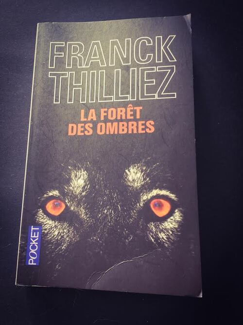 La forêt des ombres -  Franck Thilliez 