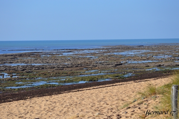 G2-Le Port de la Cotinière 12/10/2021