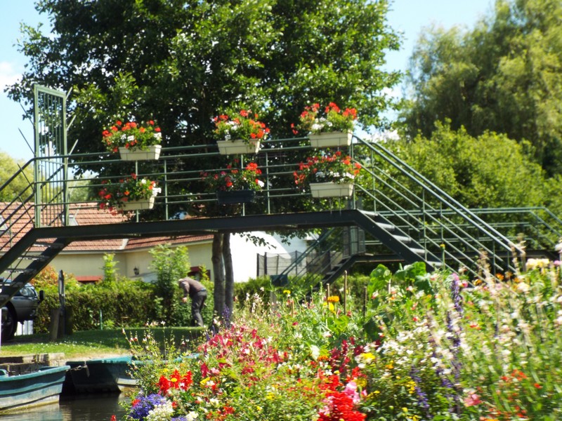 Hortillonnages d'Amiens 