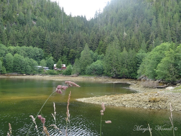 Nouvelles du Canada 120 : Accostage à Scott Cove