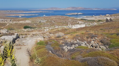 DELOS et la mer...