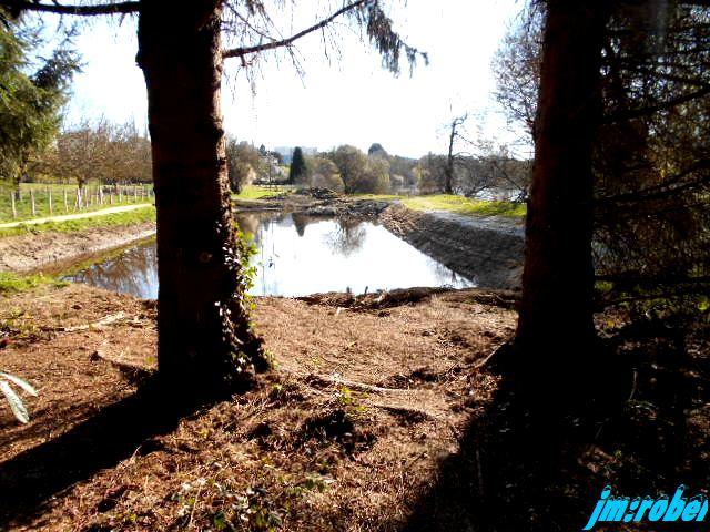 Balade printanière sur les bords de Vienne (2)