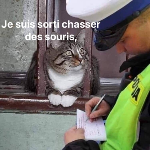 une page pour rire.....