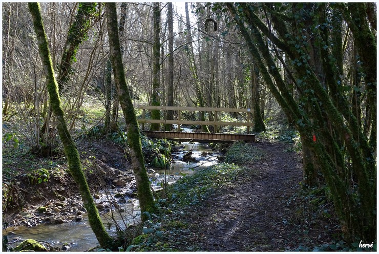 Le sentier du ruisseau 2/2