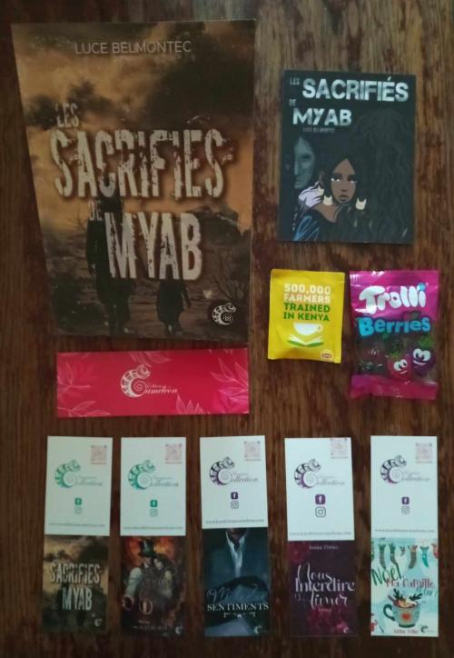 Réception Ulule Octobre 2024