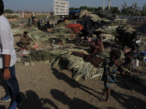 Inde 2014- Jour 7- Sur la route de Pushkar