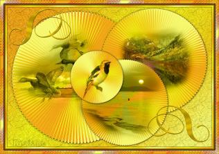 Aperçu des tutos de Tags