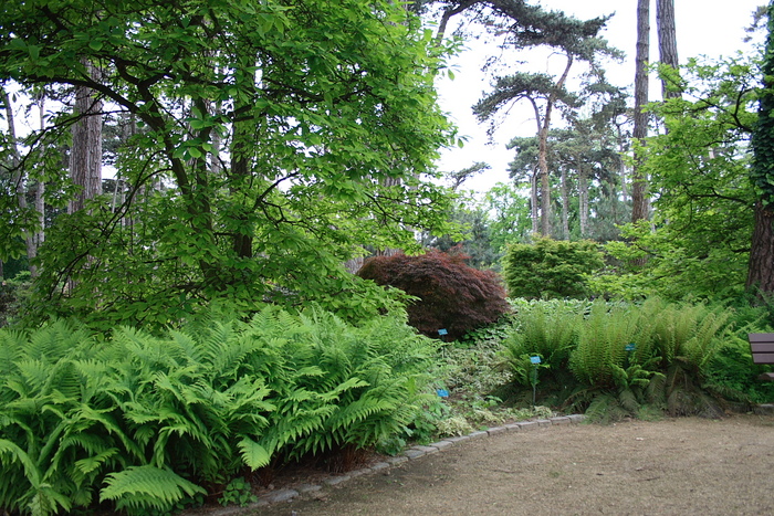 Nouvelle promenade au parc floral