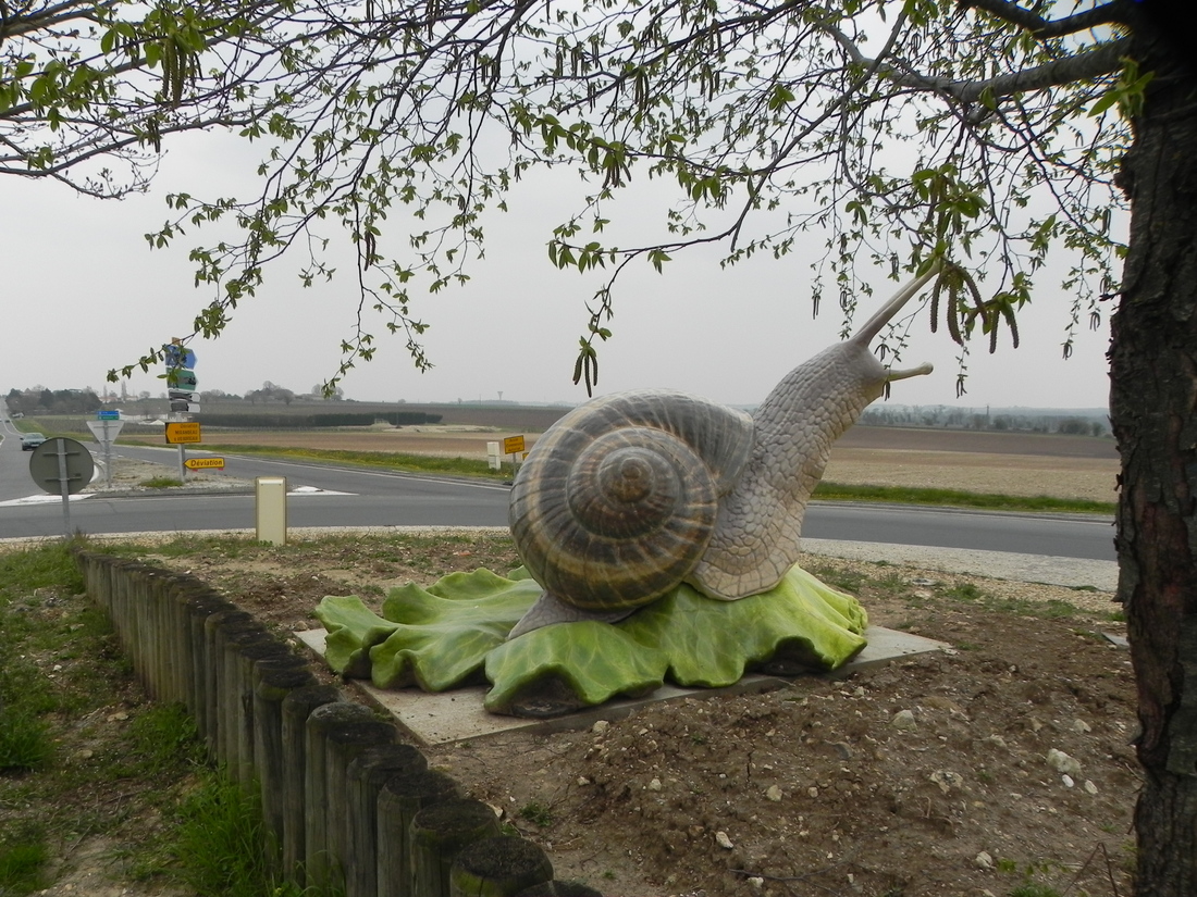 le rond-point des cagouillards 17