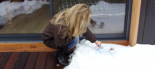 Les ours en éponge dans la neige...